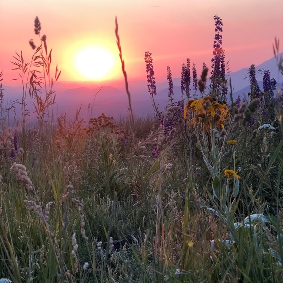 Meet your Posher, Jo - Picture 1 of 1